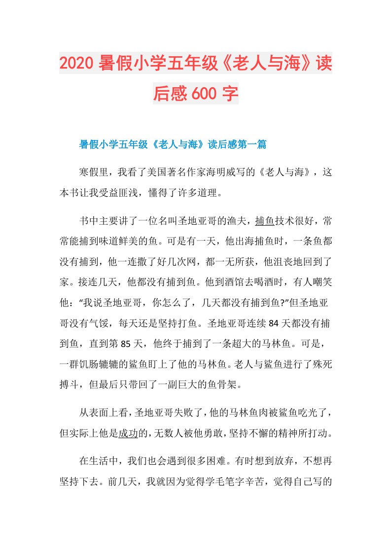 暑假小学五年级《老人与海》读后感600字