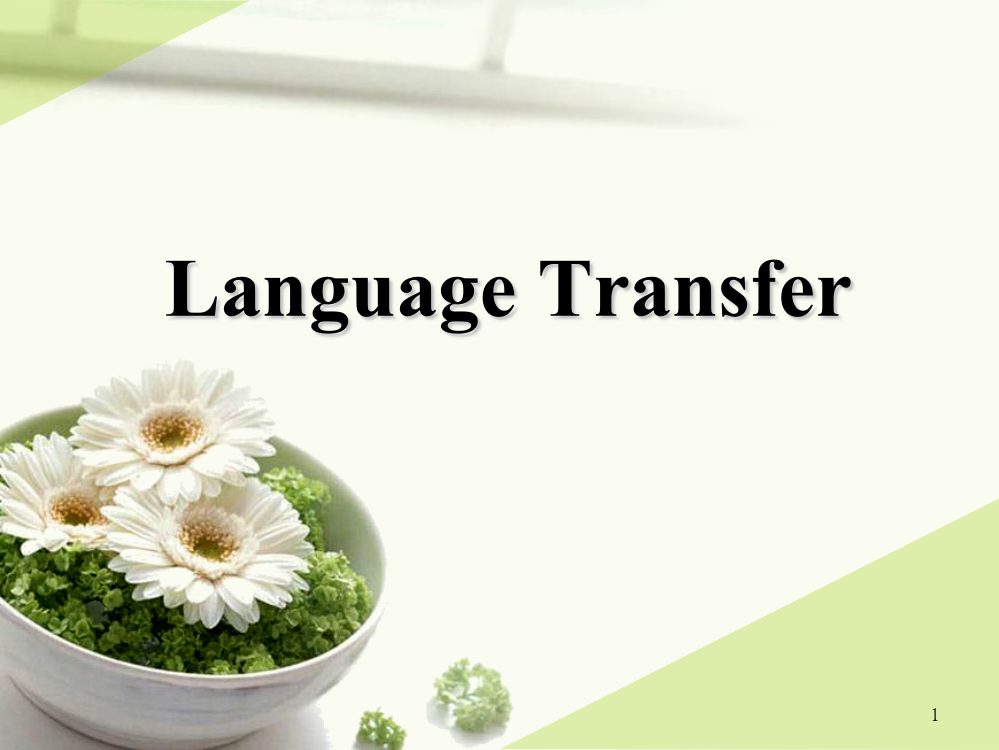 language-transfer语言迁移ppt课件