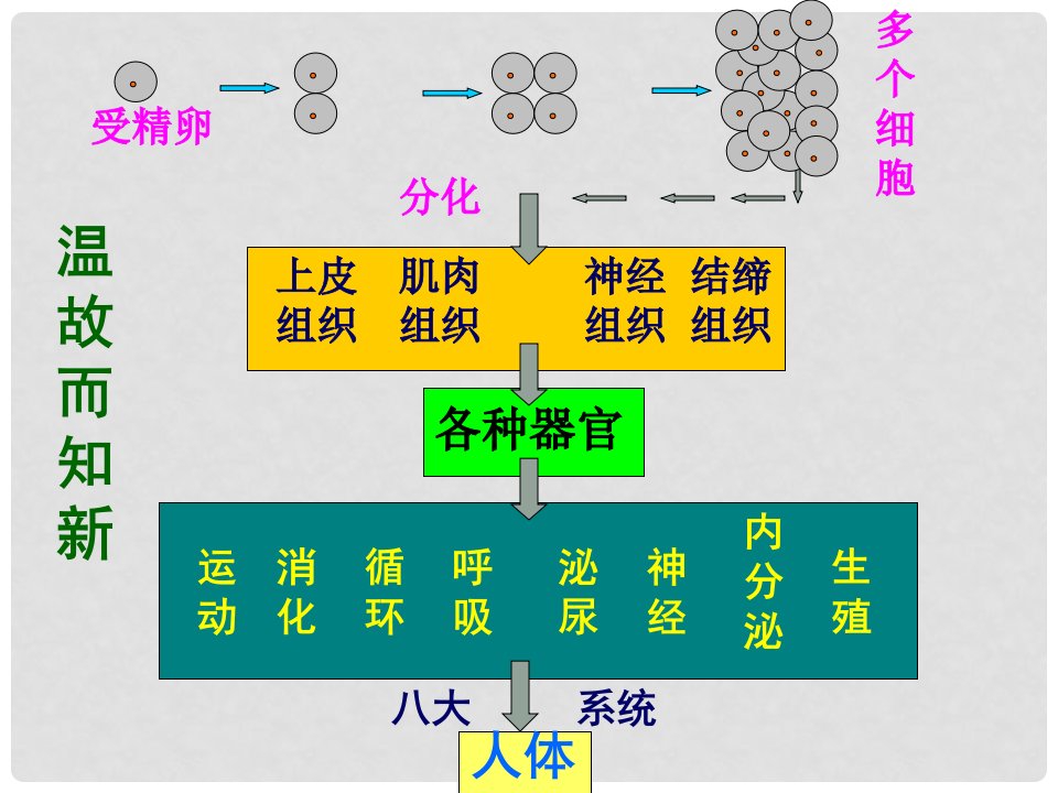 吉林省通榆县七年级生物上册