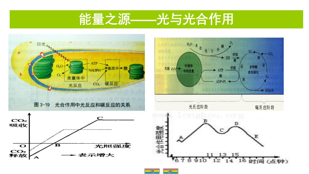 自主学习能力测评高三生物一轮复习能量之源——光与光合作用课件