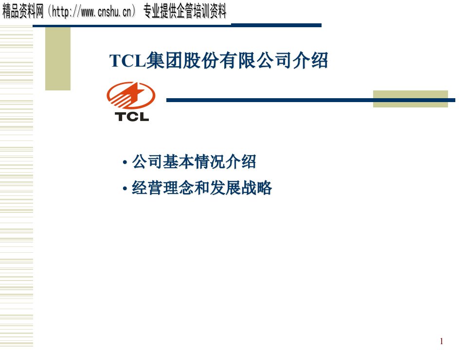 TCL集团的经营理念与发展战略