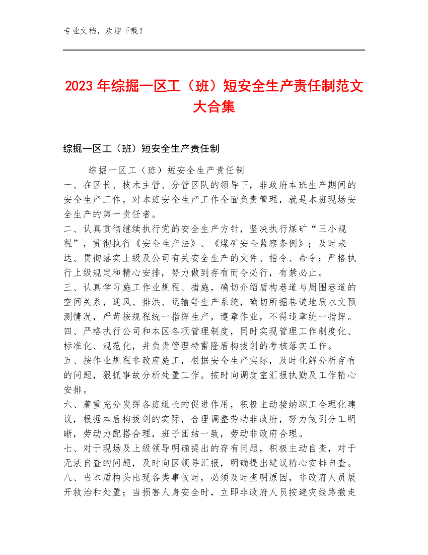 2023年综掘一区工（班）短安全生产责任制范文大合集