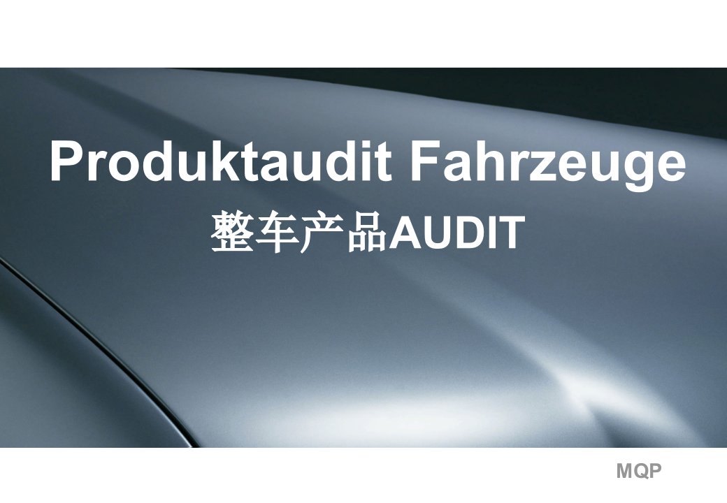 上海大众整车audit的09年资料(中文16页