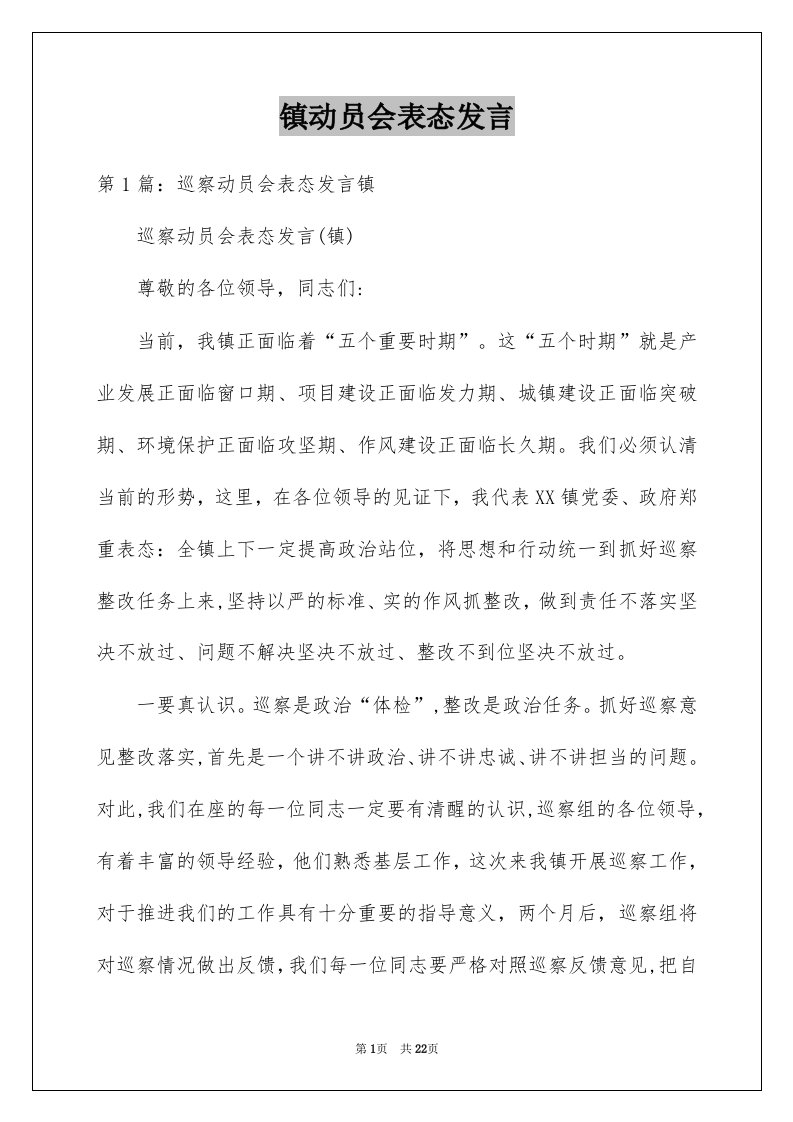 镇动员会表态发言