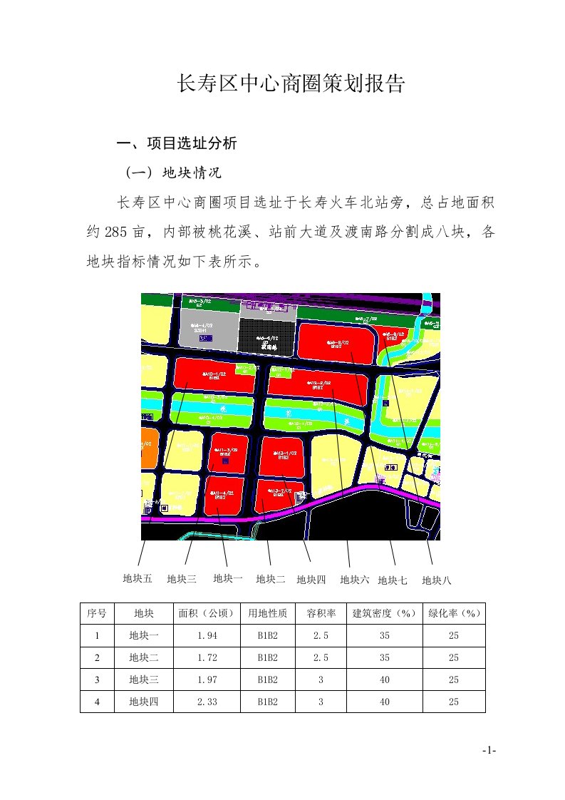 中心商圈策划报告