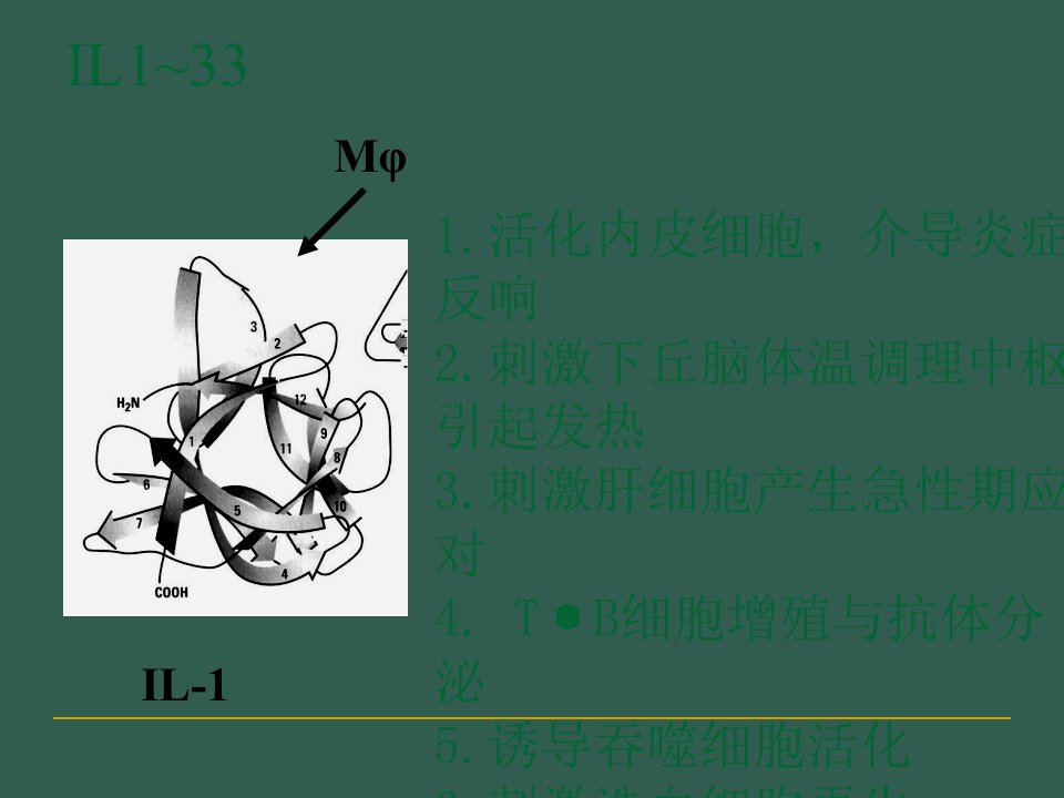 年下教育学原理试题ppt课件