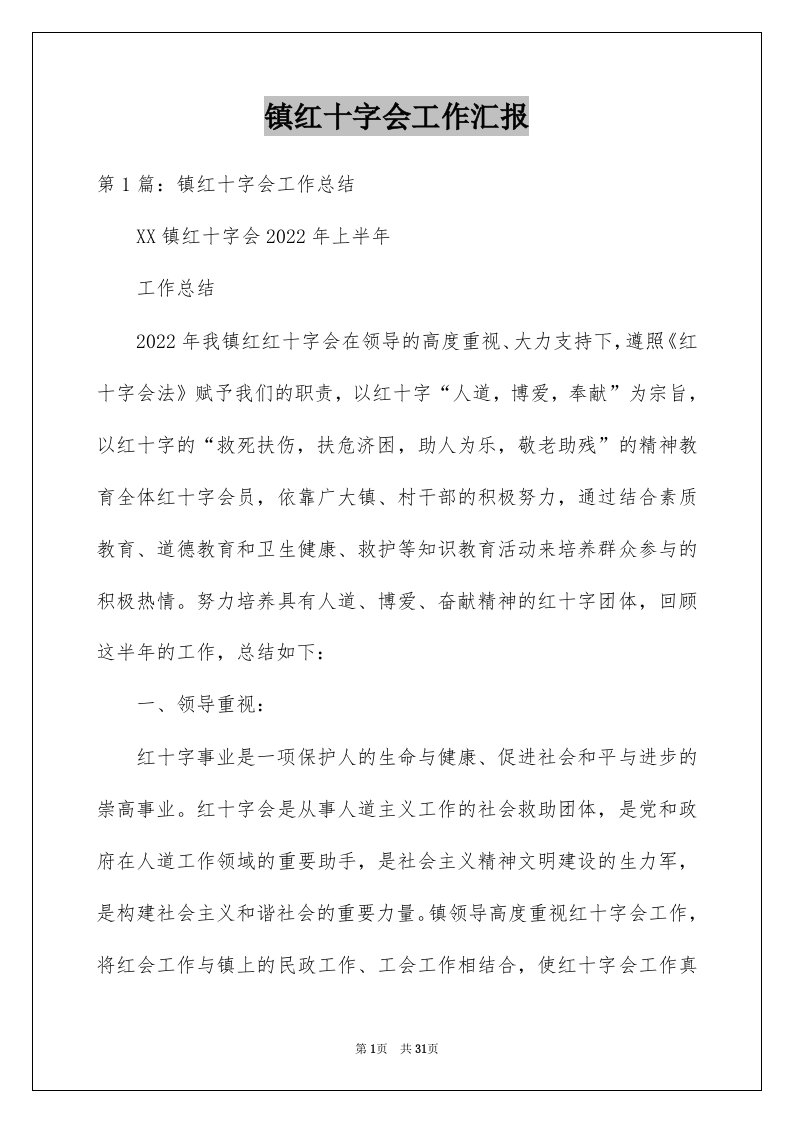 镇红十字会工作汇报