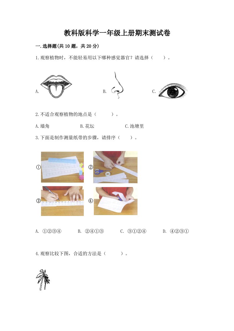 教科版科学一年级上册期末测试卷及完整答案【历年真题】