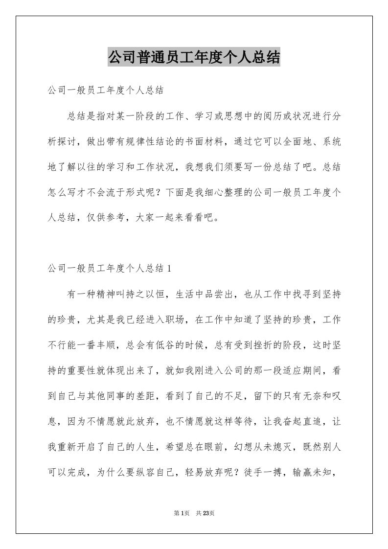 公司普通员工年度个人总结例文