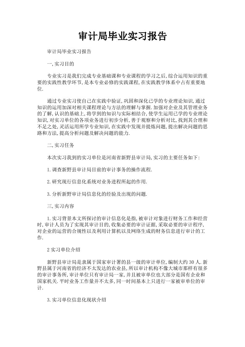 审计局毕业实习报告