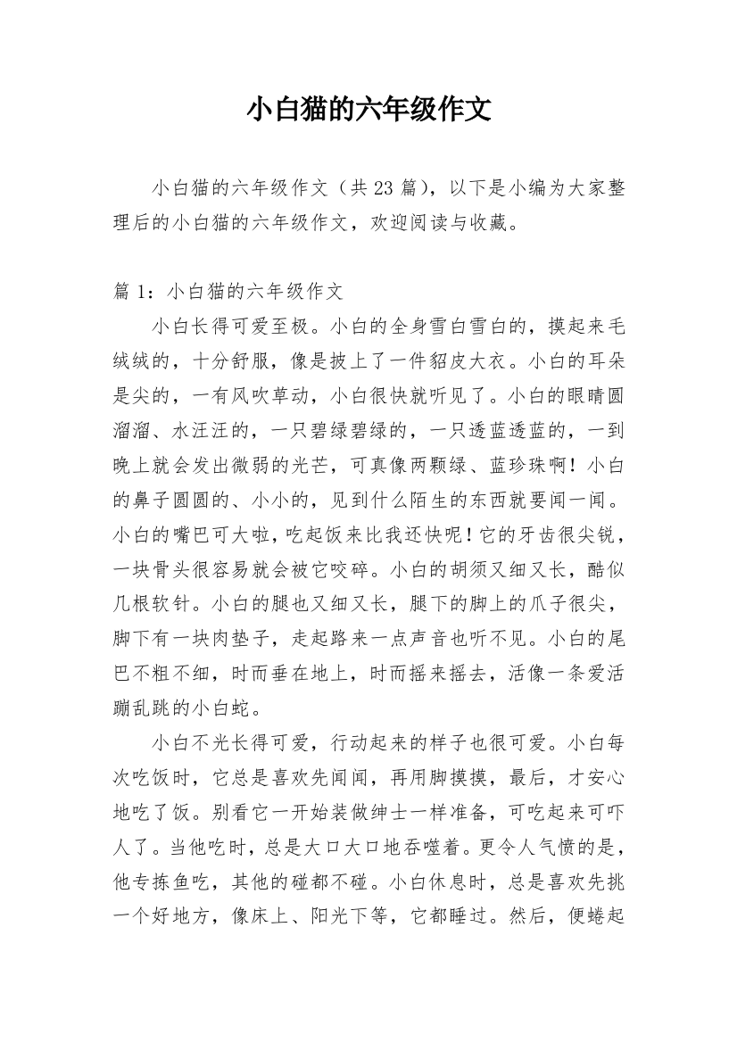 小白猫的六年级作文