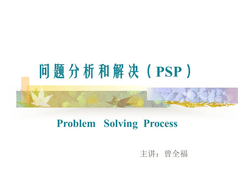 问题分析和解决(PSP)