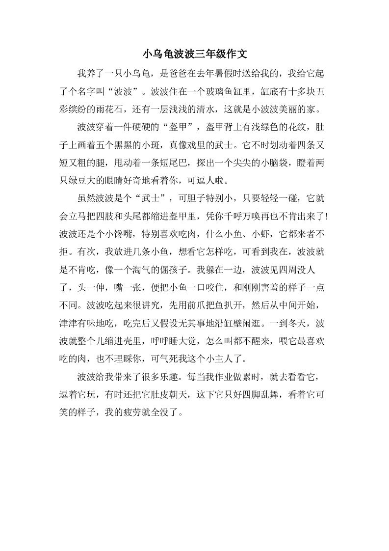 小乌龟波波三年级作文