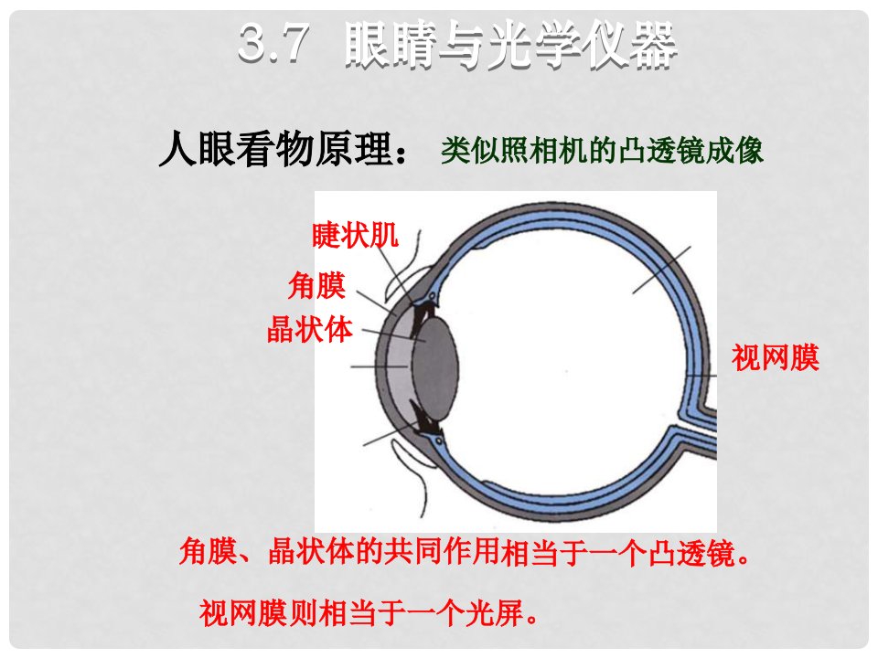 八年级物理上册