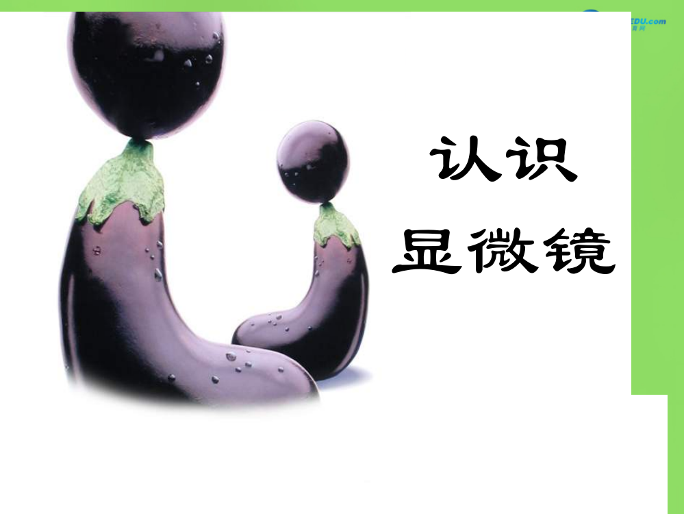 生物学的基本研究方法