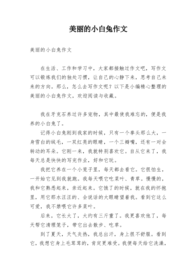 美丽的小白兔作文