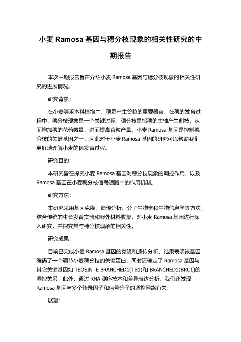 小麦Ramosa基因与穗分枝现象的相关性研究的中期报告