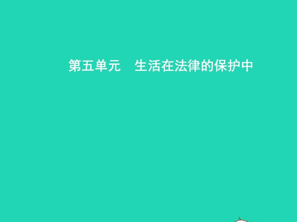 八年级政治上册第五单元生活在法律的保护中第一节生活中的法律保护第1框法律保护公民的权利课件湘教版