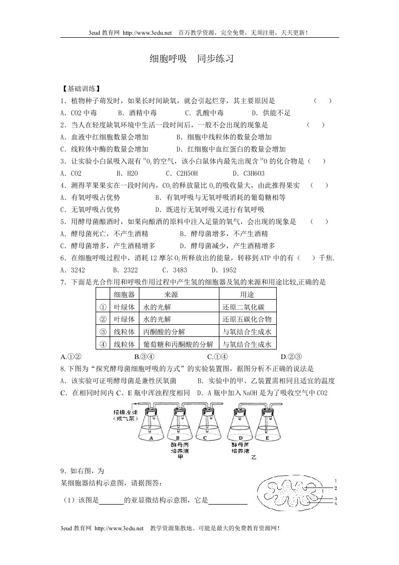 高中生物必修1细胞呼吸同步练习