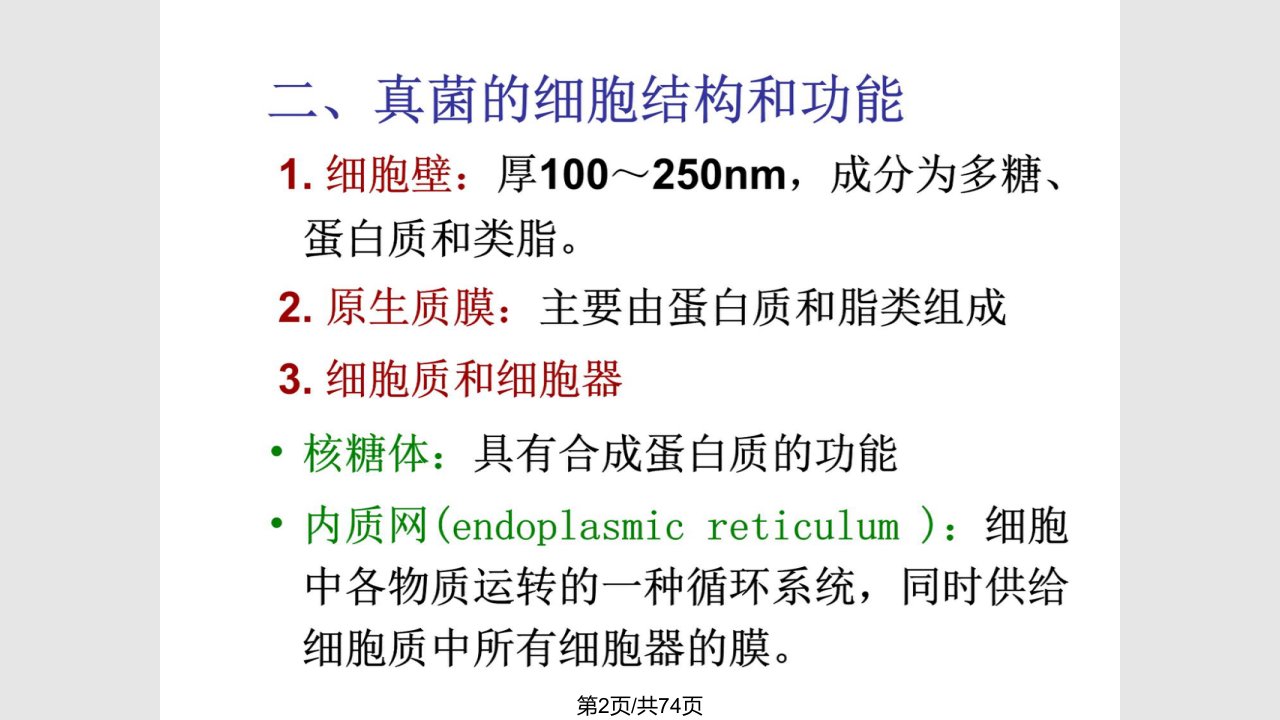 真菌teacher环境工程微生物学教学