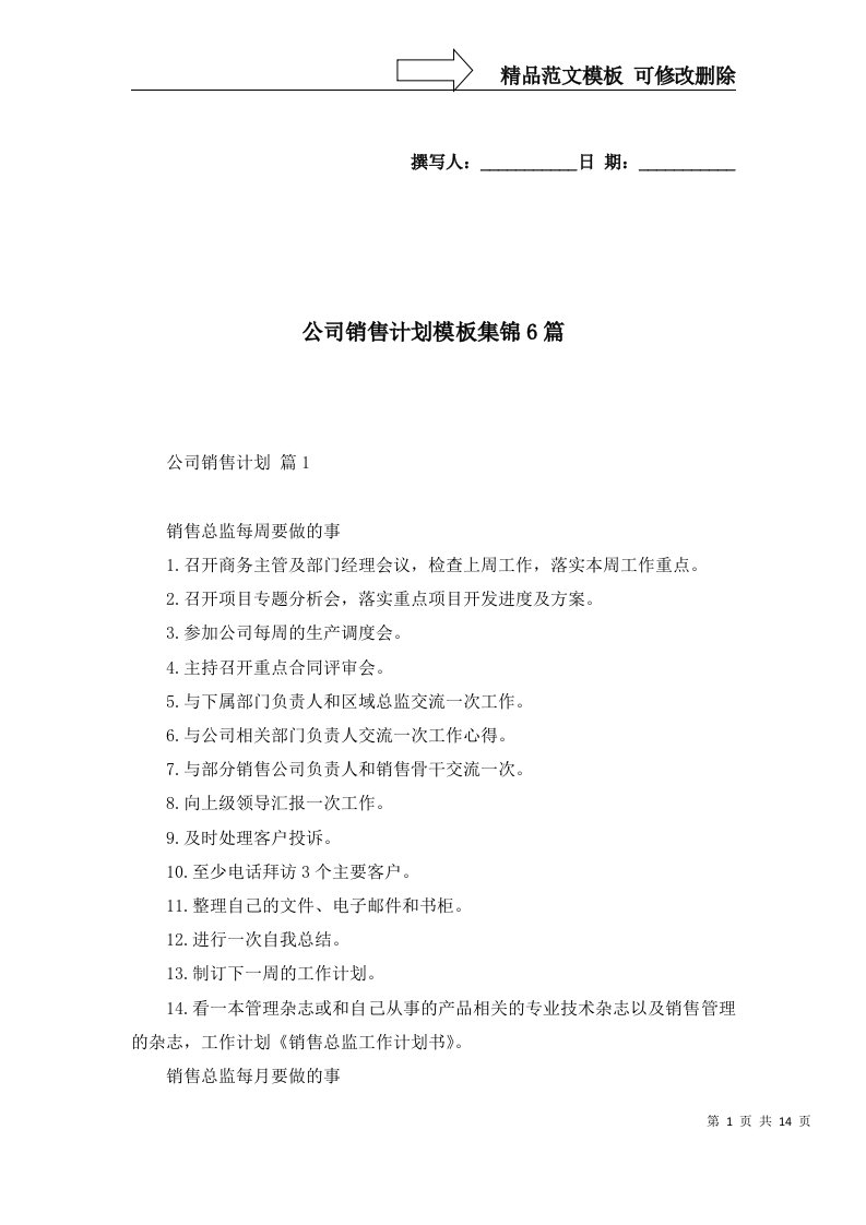 公司销售计划模板集锦6篇二