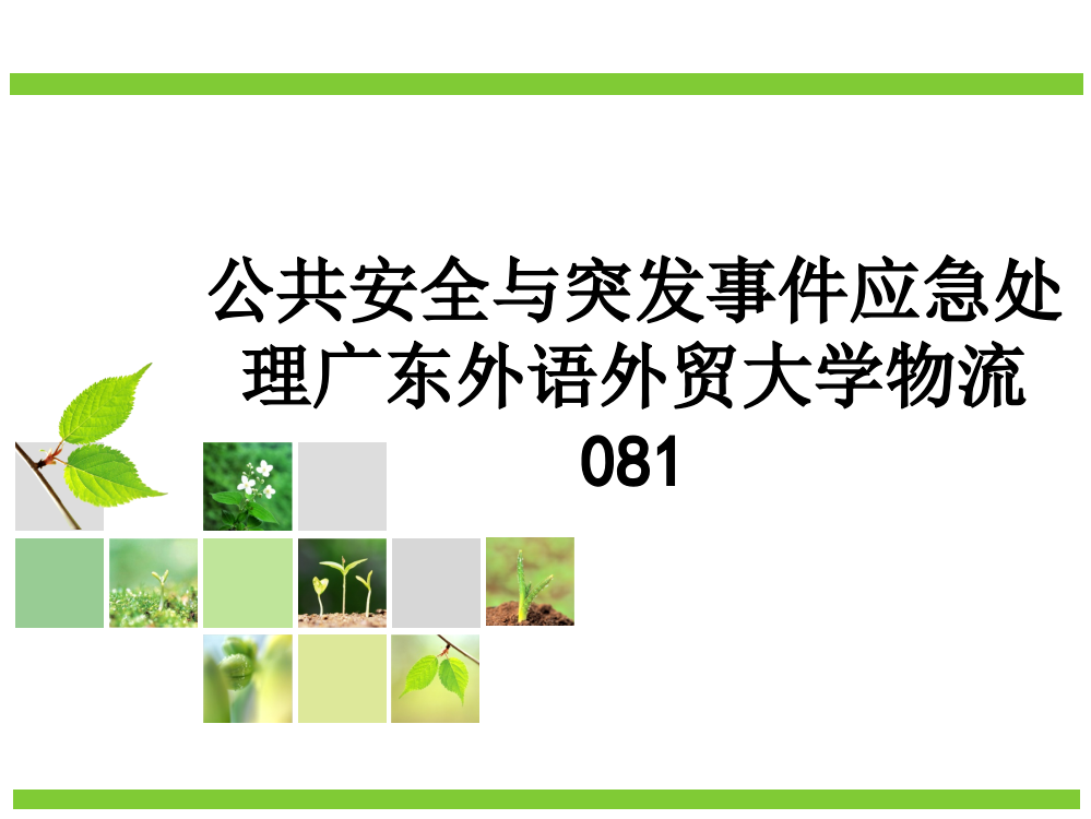 公共安全与突发事件应急处理广东外语外贸大学物流081PPT课件