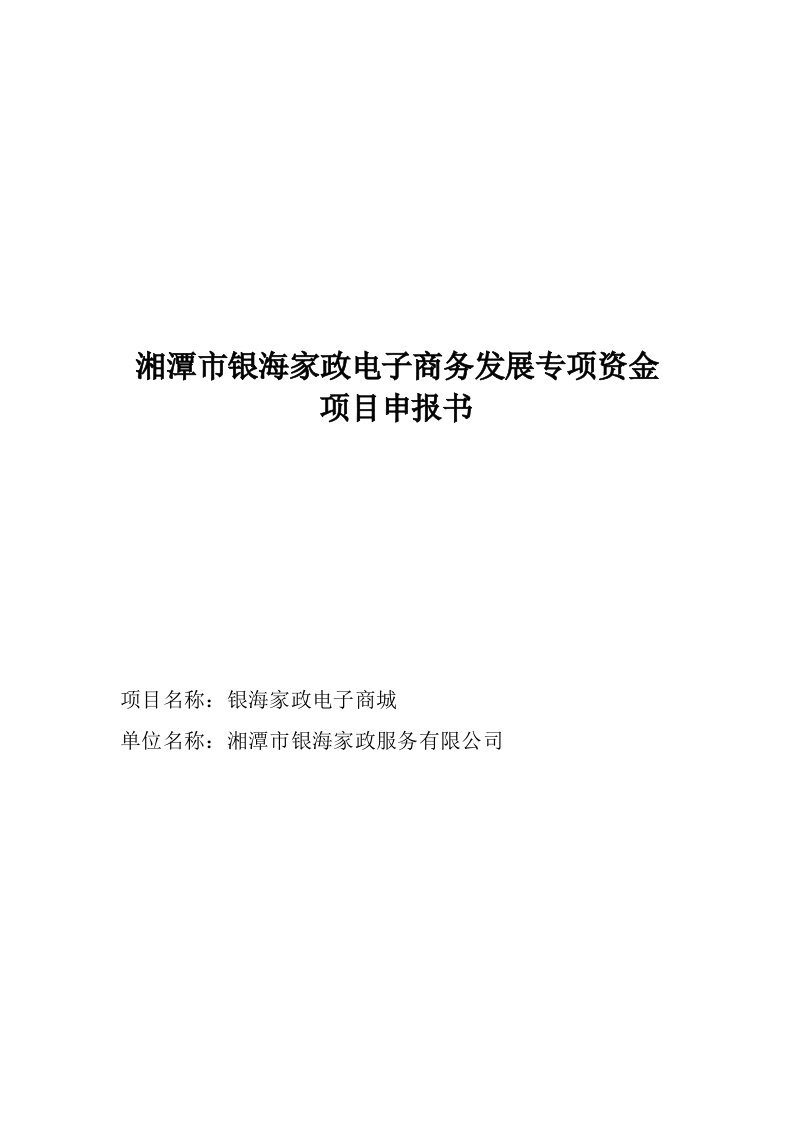 银海家政电子商务发展专项资金项目申报书