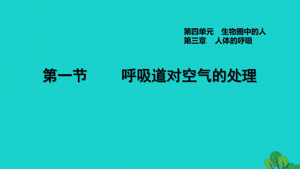 安徽专版2022七年级生物下册第四单元生物圈中的人第三章人体的呼吸第1节呼吸道对空气的处理习题课件新版新人教版