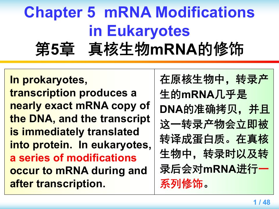 分子生物学课件第五章