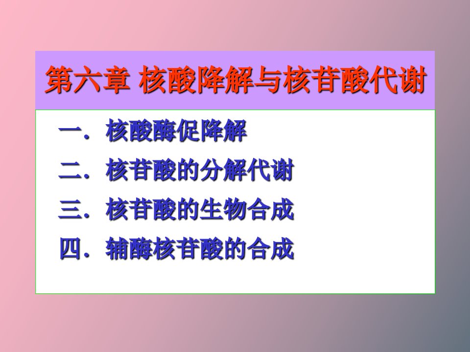 核酸降解与核苷酸代谢