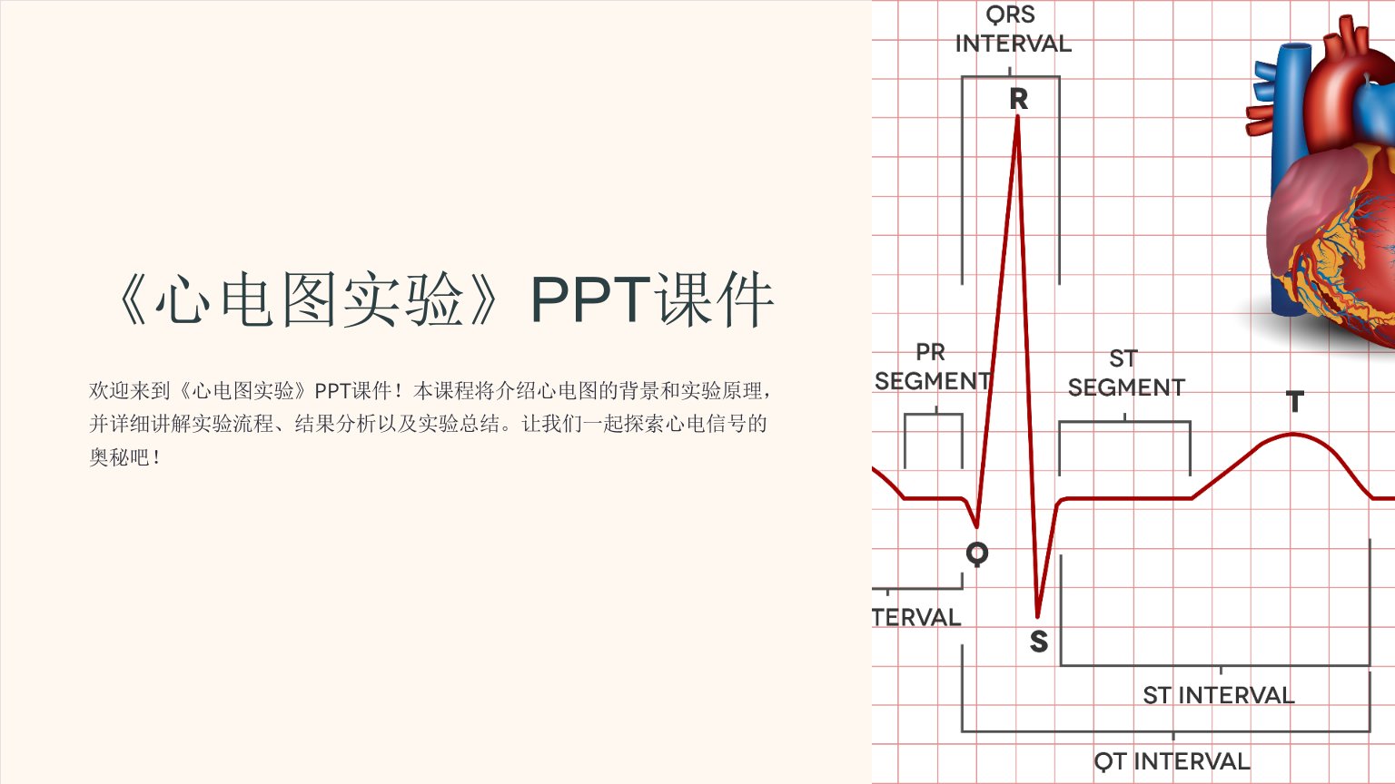 《心电图实验》课件