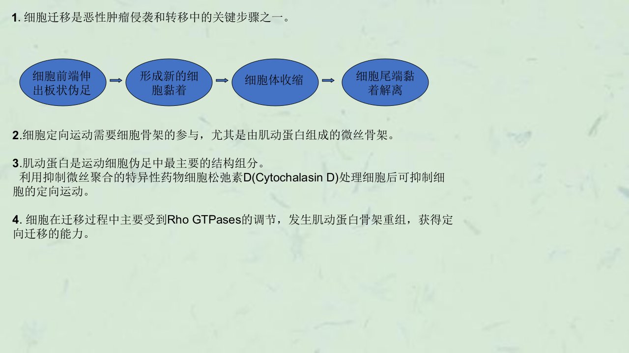 肿瘤细胞迁移中的信号通路课件