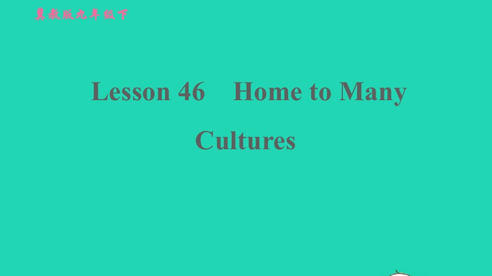 2022九年级英语下册Unit8CultureShapesUsLesson46HometoManyCultures习题课件新版冀教版