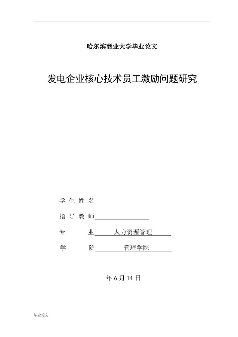 毕业设计（论文）-电力企业技术员工激励问题研究