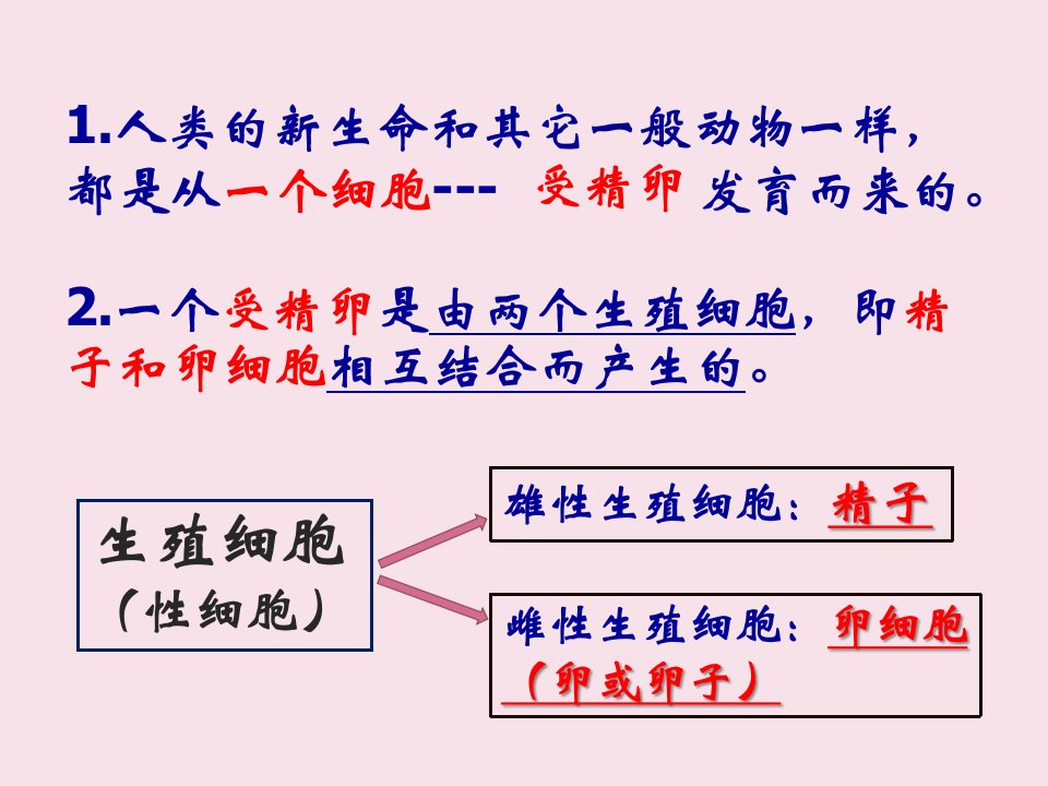 浙教版科学新生命的诞生ppt课件