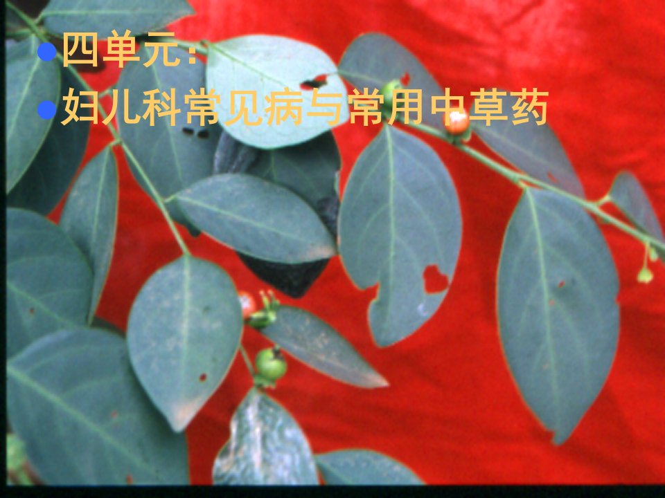 中草药与临床