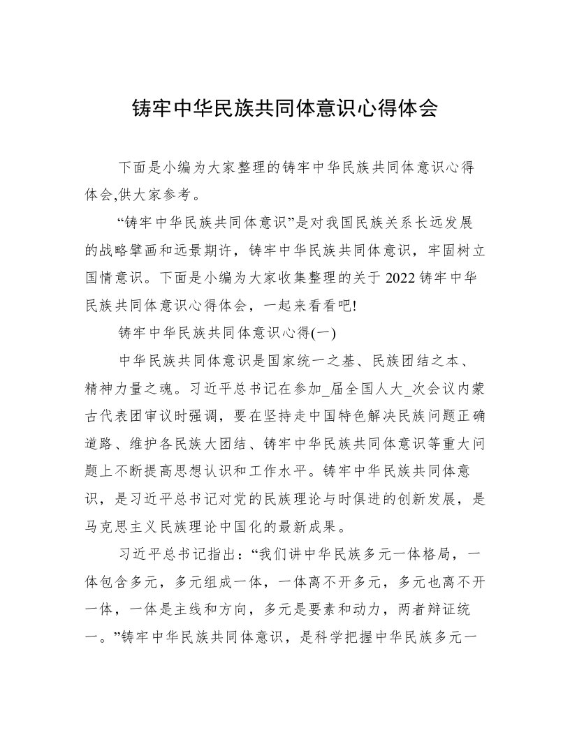 铸牢中华民族共同体意识心得体会