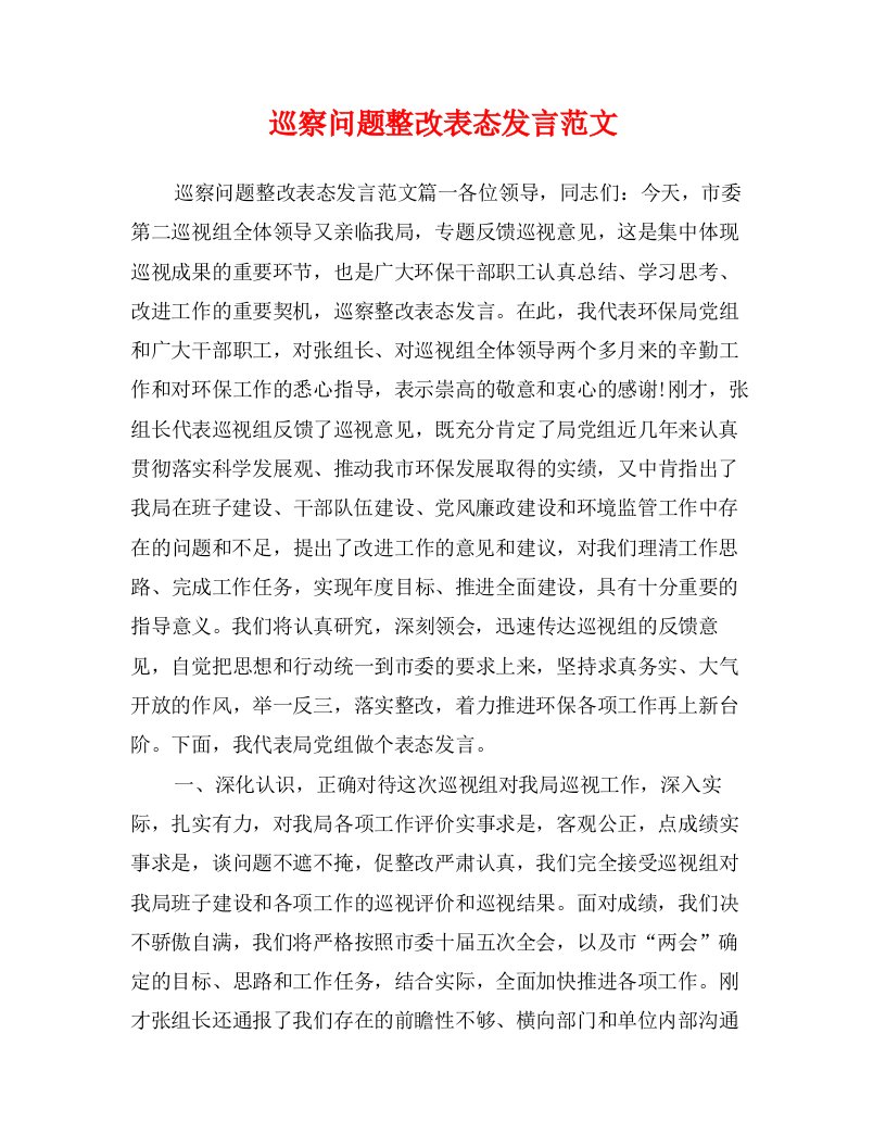 巡察问题整改表态发言范文