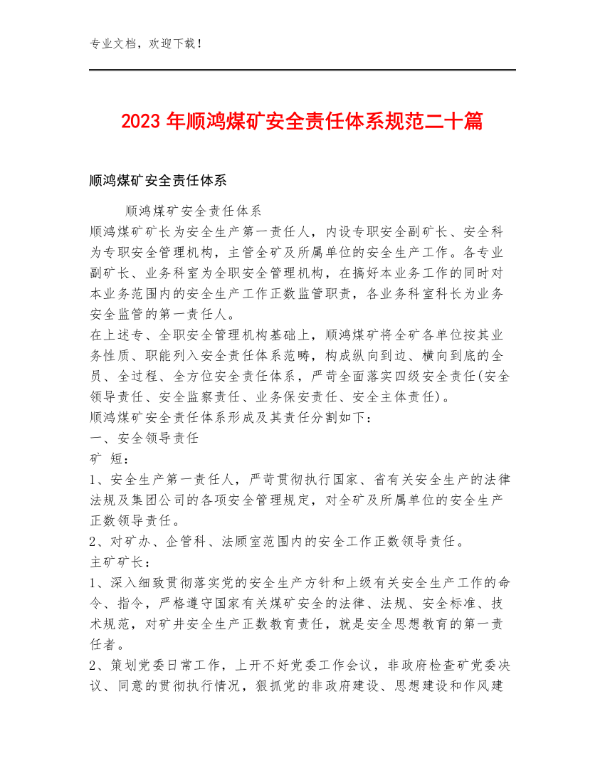 2023年顺鸿煤矿安全责任体系规范二十篇