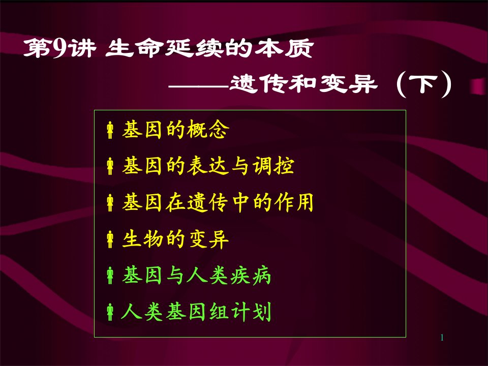 生命延续的本质-遗传与变异