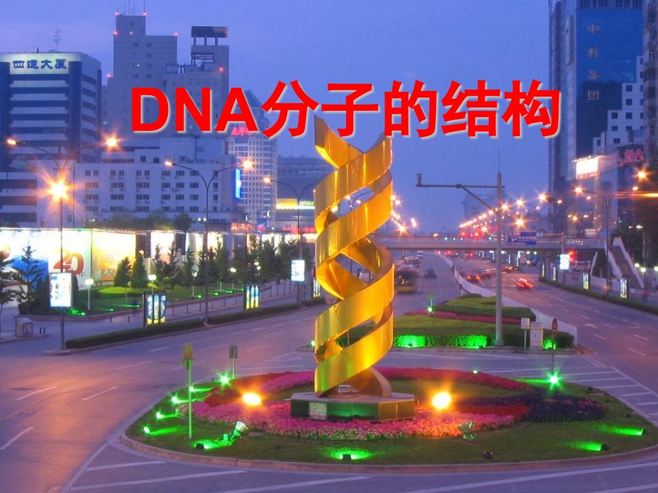 C32DNA分子的结构