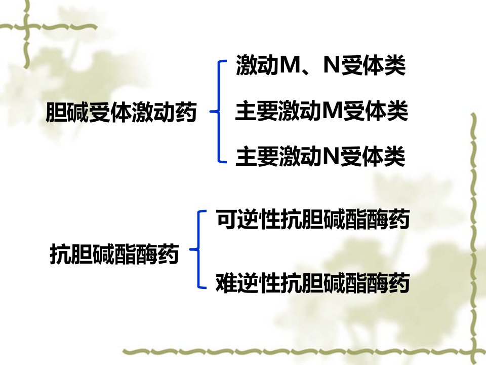 y6拟胆碱药