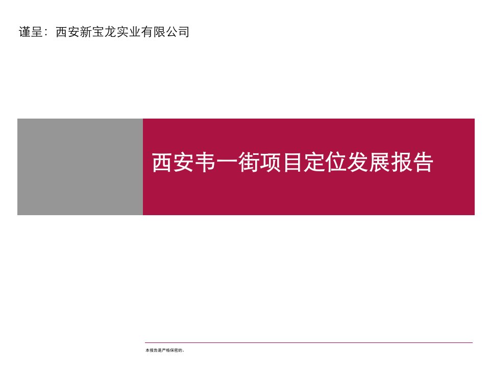 精实顾问2010年西安韦一街项目定位发展报告