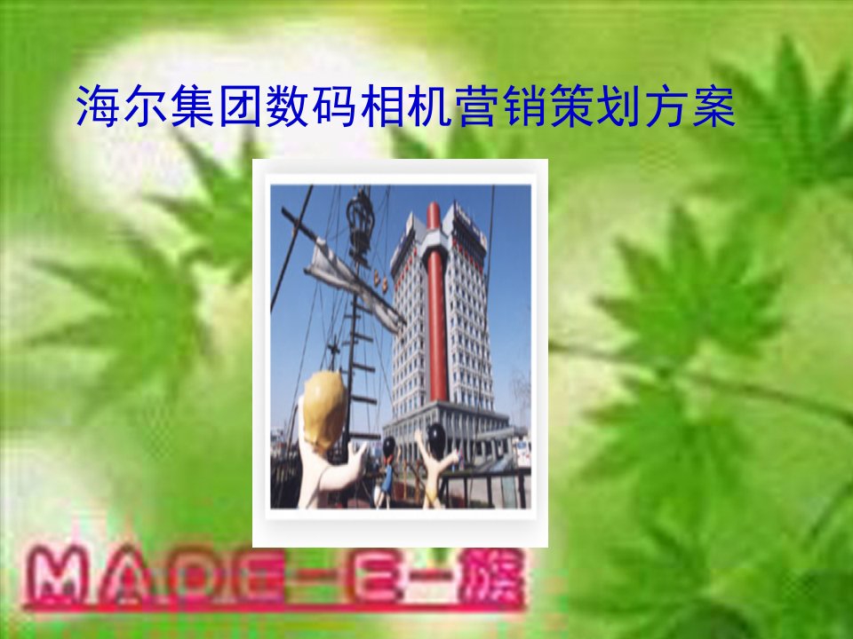 海尔集团数码相机营销策划方案