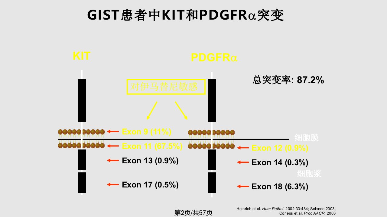 GIST治疗进展伊马替尼治疗失败后的治疗策略