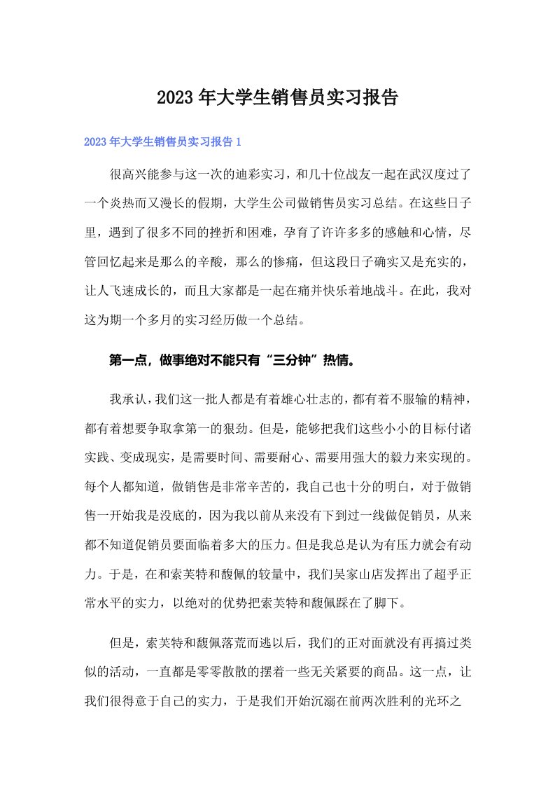 2023年大学生销售员实习报告