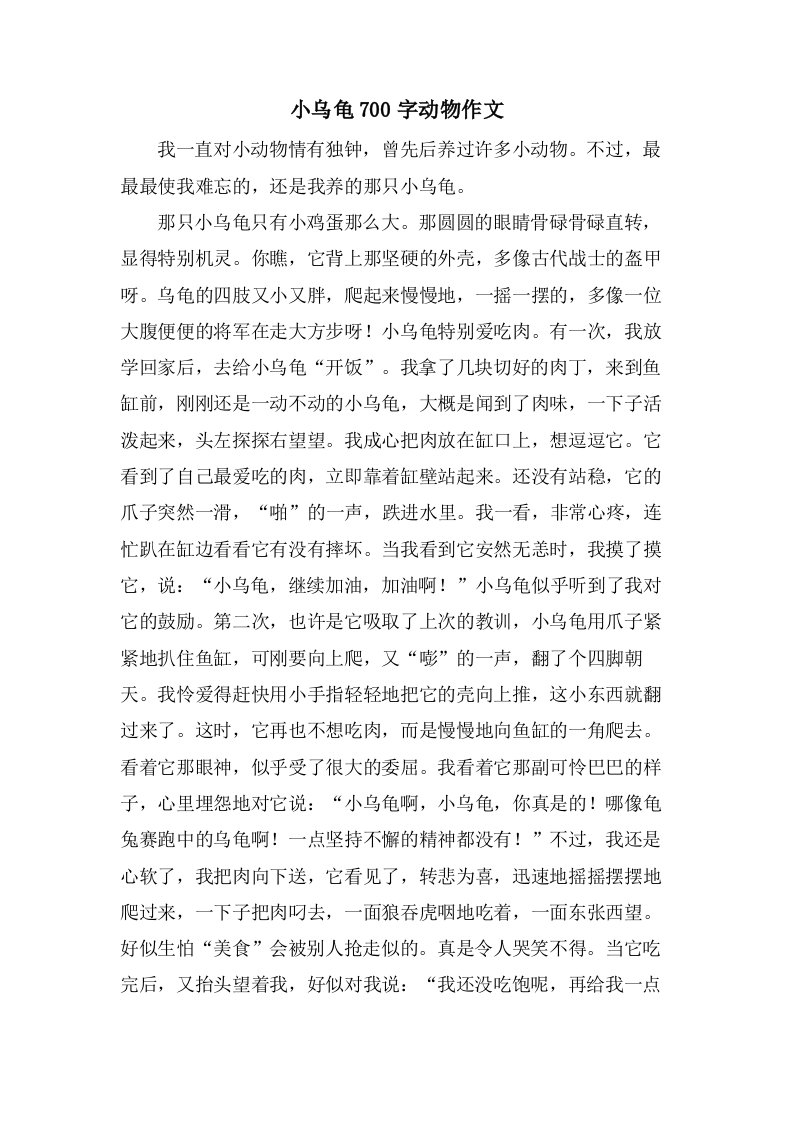 小乌龟700字动物作文