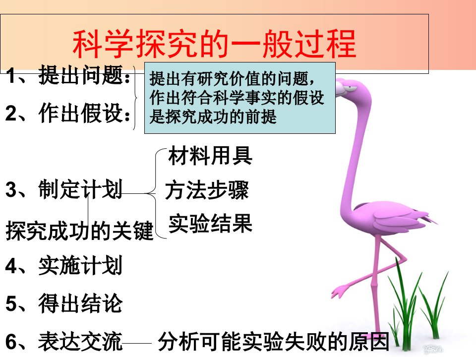 山东省七年级生物上册