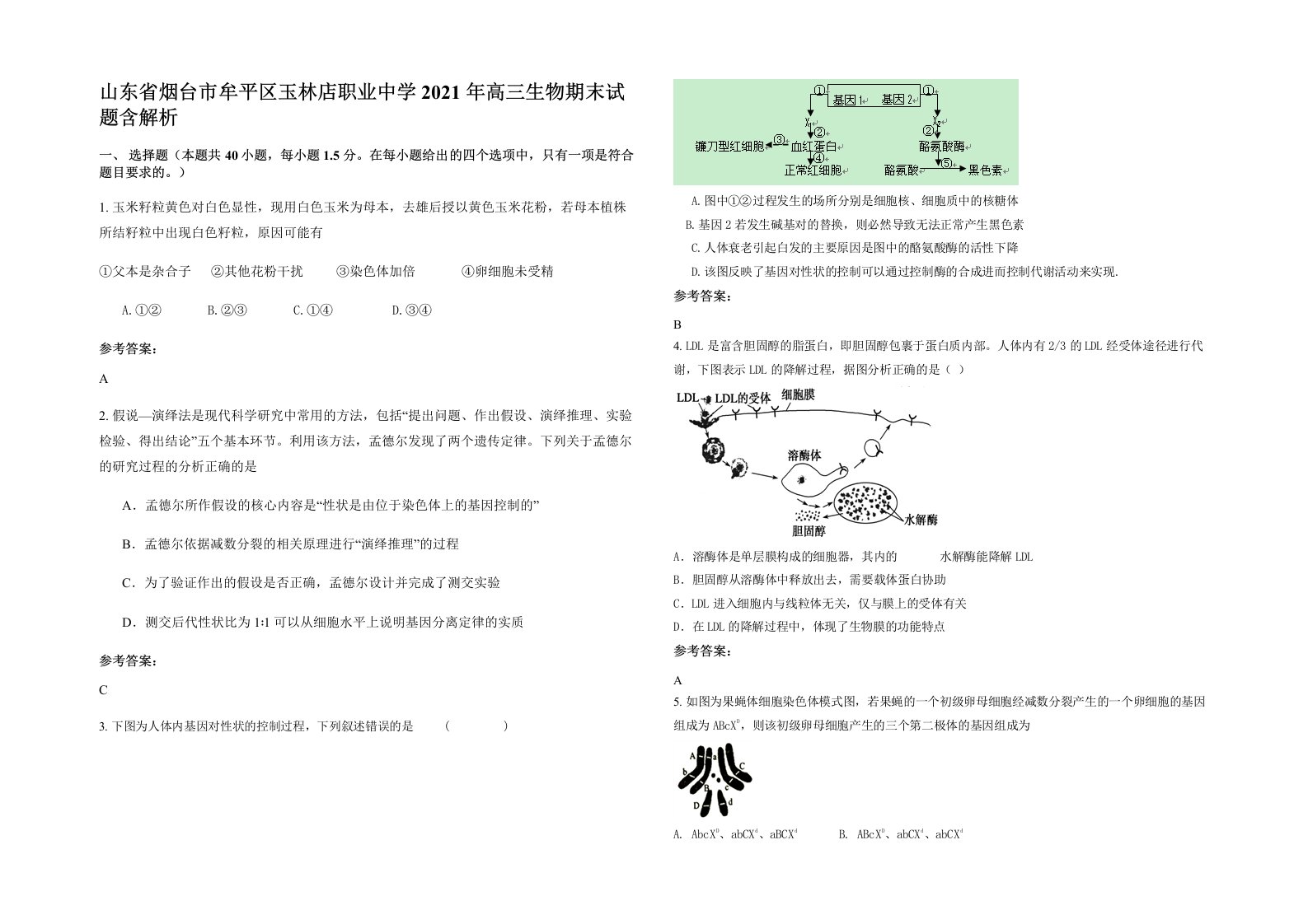 山东省烟台市牟平区玉林店职业中学2021年高三生物期末试题含解析