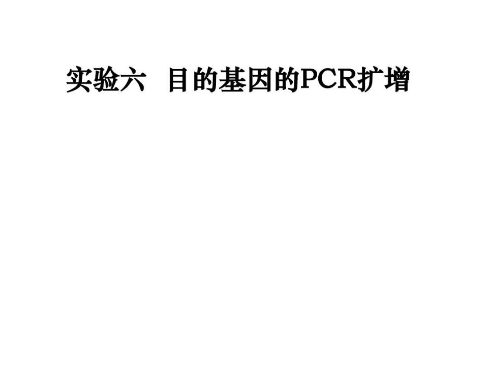 实验六目的基因的PCR扩增